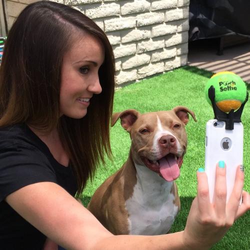 Le SECRET du SELFIE PARFAIT de CHIEN