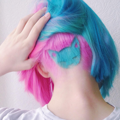 Nouvelle TENDANCE COIFFURE : avoir un CHAT dans les CHEVEUX !