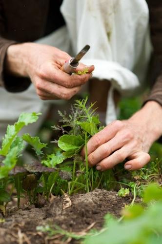 5 activités à faire pour ne plus jamais s'ennuyer le weekend