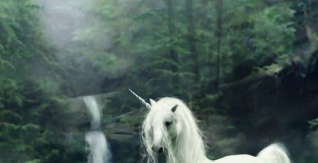 SCIENCE on a d couvert une VRAIE LICORNE SCIENCE on a d couvert une VRAIE LICORNE