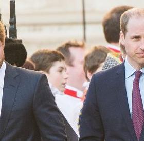 WILLY et HARRY feront une APPARITION dans cette SAGA CUUUULTE !