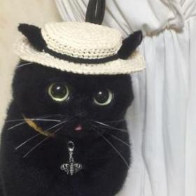 Ces SACS JAPONAIS en forme de CHAT sont TROP REALISTES