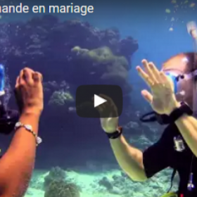DINGUE ! Il la demande en MARIAGE SOUS l'EAU