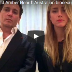L’ÉTRANGE VIDÉO d'EXCUSES de JOHNNY DEPP et AMBER HEARD