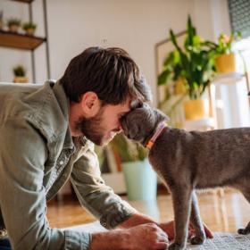 Accueillir un animal de compagnie : les quelques règles indispensables