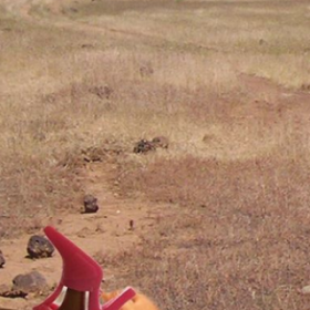 BARBIE SAVIOR : L'instagram de BARBIE en mission HUMANITAIRE