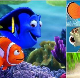 TEST : quel PERSONNAGE de NEMO êtes-vous ?
