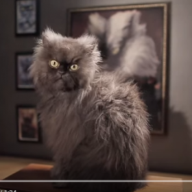 COLONEL MEOW va devenir votre YOUTUBEUR préféré !