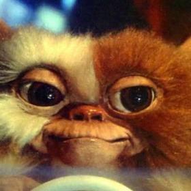 Les GREMLINS 3 : les Mogwaï de retour !