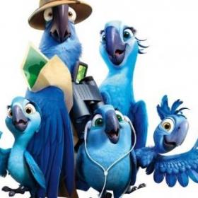 Grande chasse aux DVD et aux Blu-Ray RIO 2 !