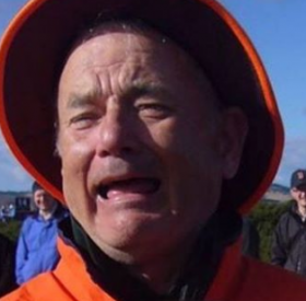 TOM HANKS ou BILL MURRAY, la grande QUESTION du JOUR !