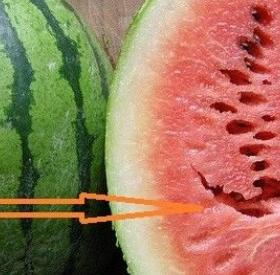 Si votre PASTÈQUE ressemble à ÇA, ne la MANGEZ PAS !