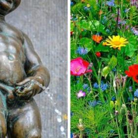 L'URITROTTOIR à Nantes : un CONCEPT pour faire PIPI dans les pots FLEURS des TROTTOIRS !