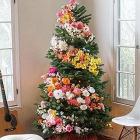 OUBLIEZ les BOULES de NOËL pour votre SAPIN