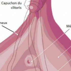 Le CLIP du CLITORIS : la bien belle chanson !