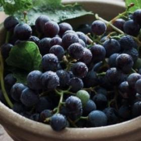 CANCER : 25 aliments ULTRA-RECOMMANDES