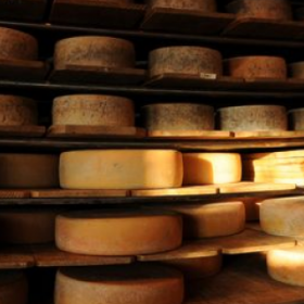 Mangez du FROMAGE, produisez de l'ÉLECTRICITÉ !