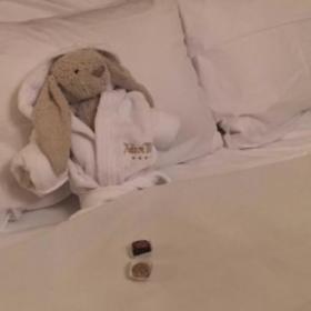Un DOUDOU mène la BELLE VIE à l'HÔTEL