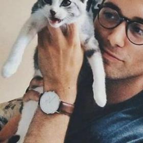 Avoir un CHAT rend plus SEX, la PREUVE !