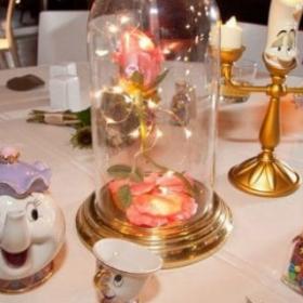 Ils se sont OFFERT un MARIAGE DISNEY !