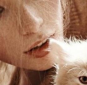 TEST : quel ANIMAL BIZARRE êtes-vous ?