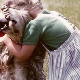 LA DECEPTION : VOTRE CHIEN n'aime pas VOS CALINS