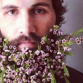 Une BARBE FLEURIE pour le PRINTEMPS ?
