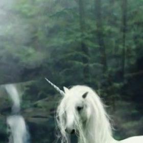 SCIENCE : on a découvert une VRAIE LICORNE !