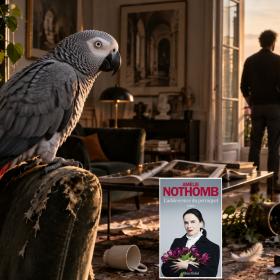 "L'Adolescence du perroquet" d'Amélie Nothomb : un orphelin, un oiseau et une leçon d'amour qu'on...