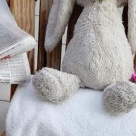 Un SPA ? Oui, mais avec des LAPINS !