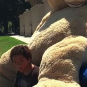 Ils VENDENT un OURS en PELUCHE GÉANT au bord de la route, une STAR s'arrête !