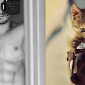 MÂLES SEXY + CHATONS MIGNONS = vous n'allez pas décoller de l'écran