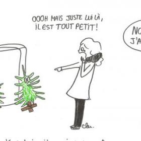 Les sapins abandonnés