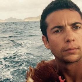 L'INCROYABLE TOUR du MONDE d'un JEUNE NAVIGATEUR et sa POULE DOMESTIQUE !