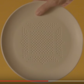 Une ASSIETTE qui vous PERMET de MANGER MOINS GRAS !