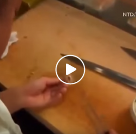 VIDÉO : les PLUS PETITS SUSHIS du MONDE !