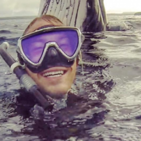Ce PLONGEUR fait un SELFIE avec... UNE BALEINE !!!
