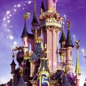 HABITER chez MICKEY : c'est POSSIBLE !