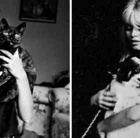 TEST : êtes-vous plutôt CHIEN ou CHAT ?