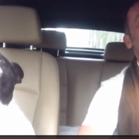 Découvrez JUNIOR, le bulldog qui chante du RIHANNA