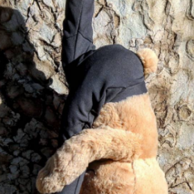 MEDDY TEDDY : l’OURSON qui APPREND le YOGA aux ENFANTS