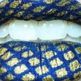 Allez-vous passer à la SNAKE LIPS ?