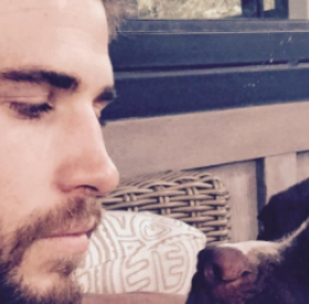 LIAM HEMSWORTH et son ITSY BITSY TEENY WEENY tout PETIT PETIT SHORTY