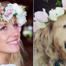 Un COMPTE TWITTER trouve votre SOSIE… en CHIEN ! 