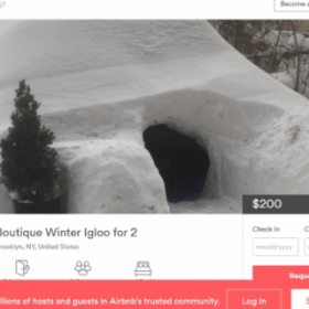 A LOUER, IGLOO en plein NEW YORK