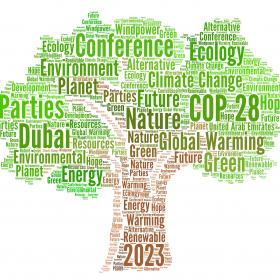 COP 28 : Quels Enjeux Majeurs pour le Climat ?