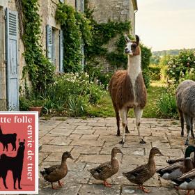 "Cette folle envie de tuer" de Camilla Barnes : SOS parents en roue libre