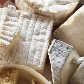 Et si les FROMAGES LES PLUS GRAS étaient BONS pour notre SANTÉ ?