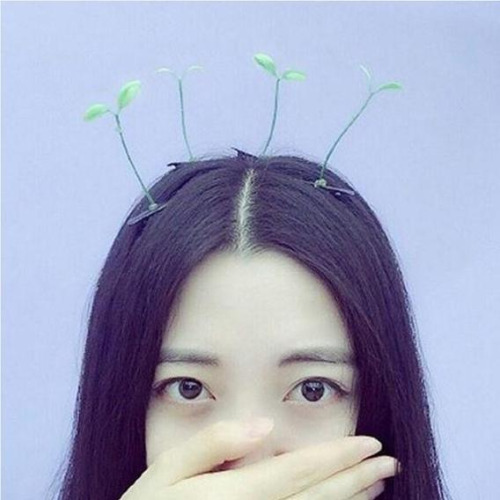 NOUVEAU IT CAPILLAIRE : des plantes en CHEVEUX !