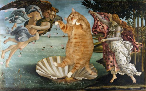 ZARATHUSTRA le gros chat roux qui s'incruste dans les TABLEAUX de grands maîtres